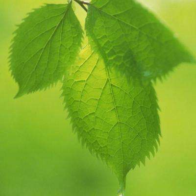 云开平台app最新版