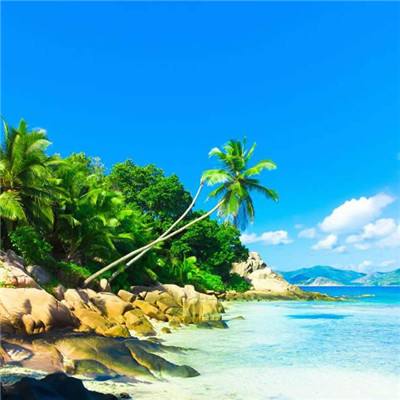 天博官网APP下载